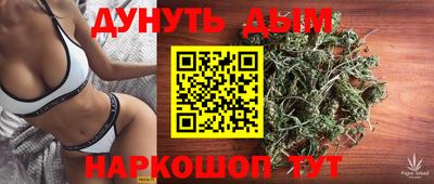 сатива Новокубанск