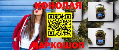 сатива Новокубанск