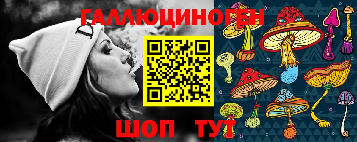 Тавда  Псилоцибиновые грибы Psilocybe  Вход с VPN 